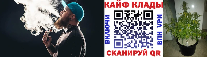 Купить наркотики цена Мончегорск Галлюциногенные грибы  COCAIN  Alpha-PVP  Меф  ссылка на мегу вход  АМФ  ГАШИШ 