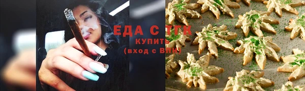 гашик Горняк