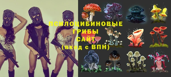 гашик Горняк