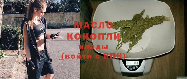 гашик Горняк