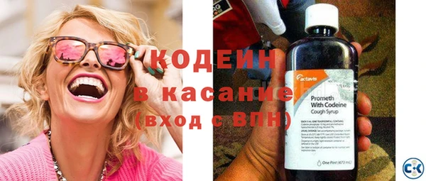 гашик Горняк