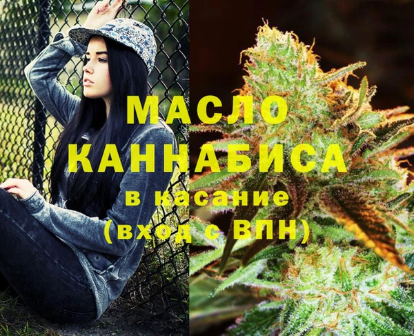 гашик Горняк