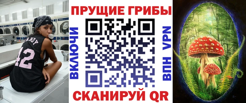 Галлюциногенные грибы Cubensis гидра ТОР Мончегорск купить наркоту
