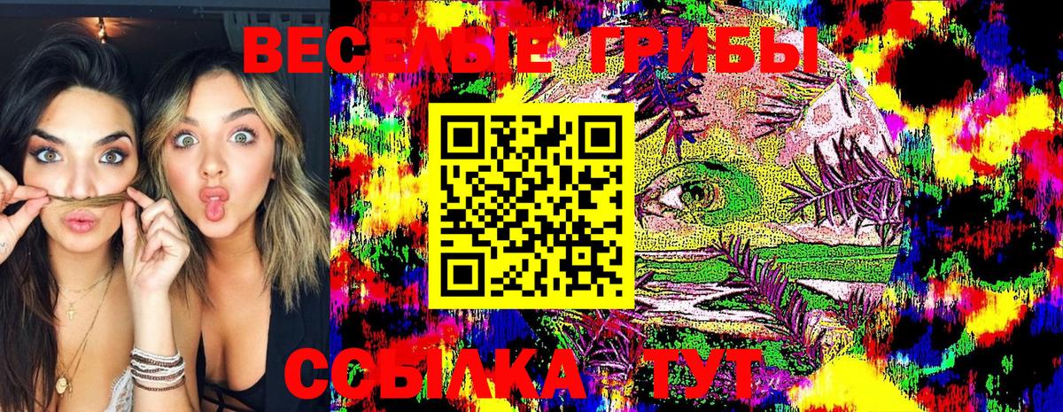 Мончегорск  Галлюциногенные грибы GOLDEN TEACHER  Вход с VPN 