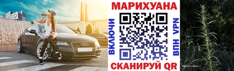 Канабис White Widow  продажа наркотиков  blacksprut сайт  Мончегорск 